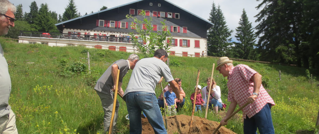 Plantation d'un arbre lors de l'inauguration "Refuge LPO" à la Chaume des Veaux