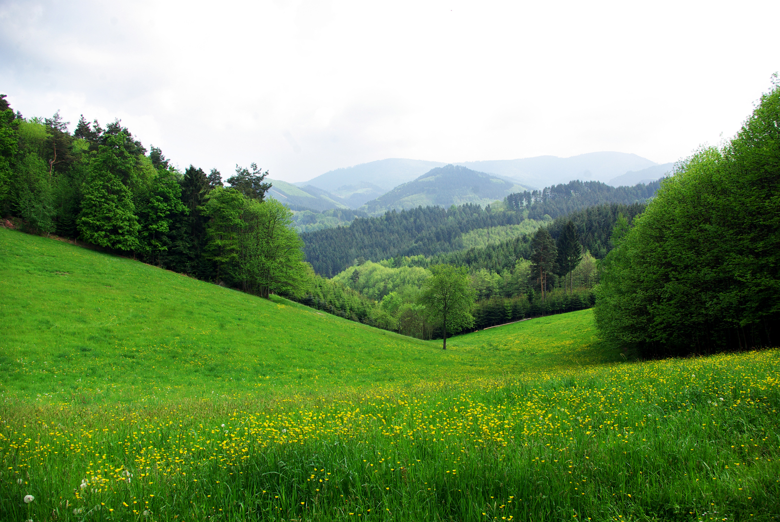 Paysage de montagne en Alsace - Les Amis de la Nature 67