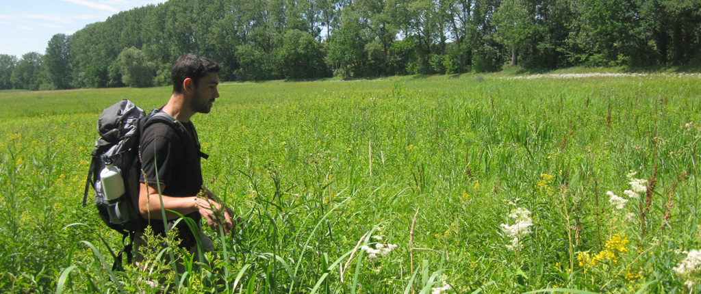 Découverte guidée du delta de la Sauer, dans le Nord de l’Alsace, avec les Amis de la Nature