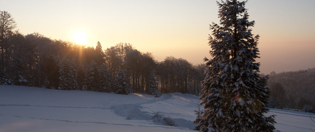 Lever de soleil d’hiver à la Chaume des Veaux, près du Champ du Feu, en Alsace