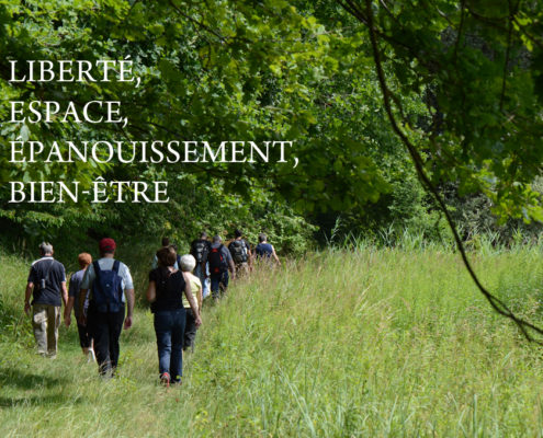 balade d’été dans les Vosges