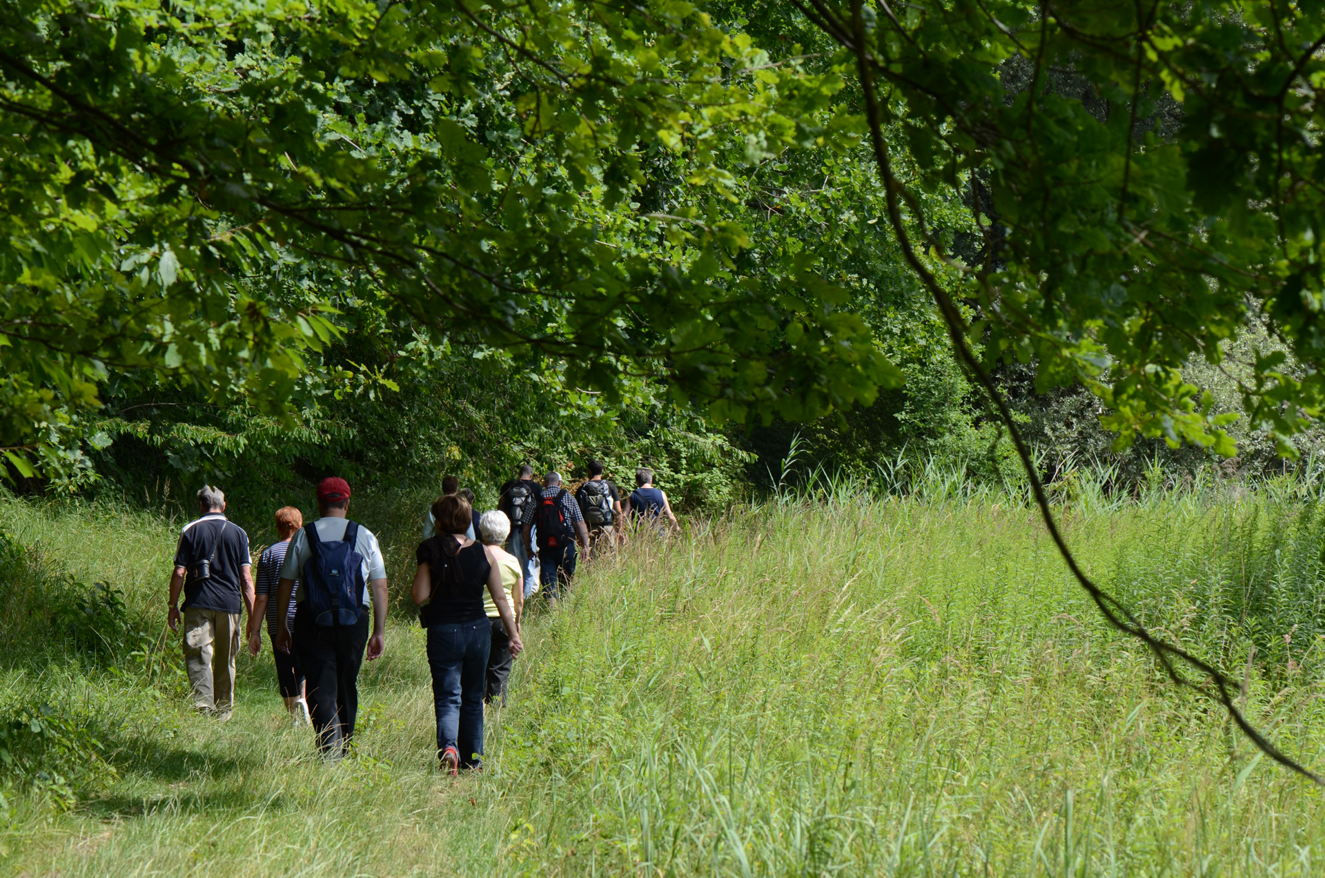 Groupe de randonneur nature en Alsace