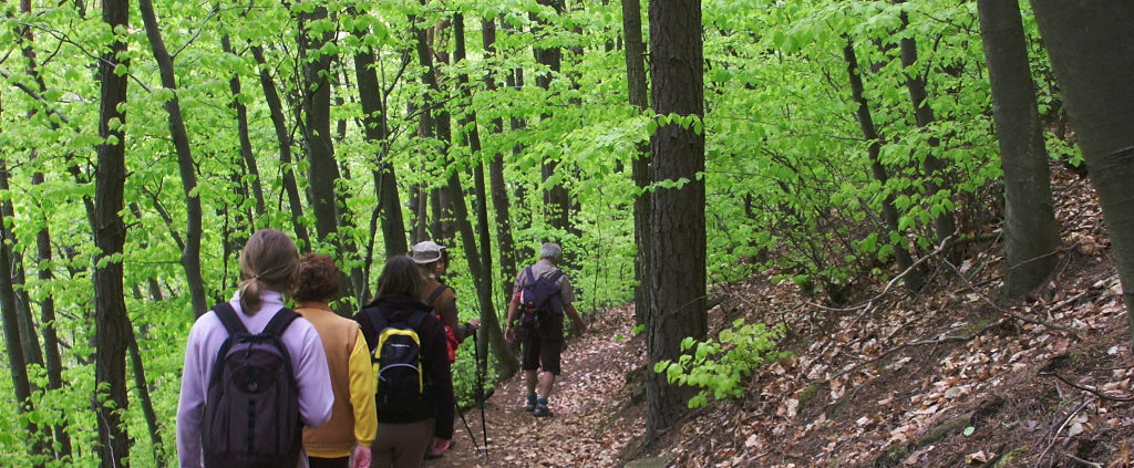 Randonnée dans les Vosges Amis Nature Alsace Bas-Rhin 67