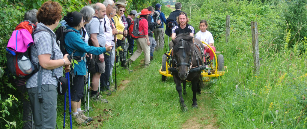 Rencontre avec un attelage sur la colline du Bastberg