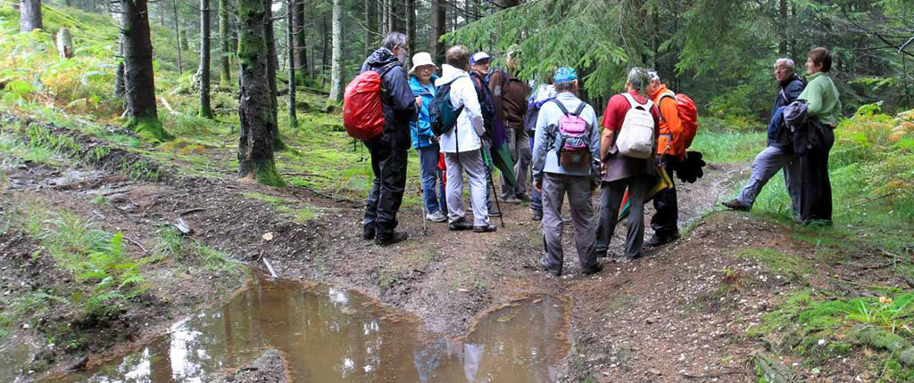 stage ARP niveau 2 - formation de 13 stagiaires AN dans les Vosges du Nord